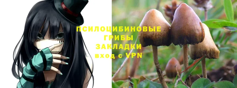 Псилоцибиновые грибы MAGIC MUSHROOMS Тарко-Сале